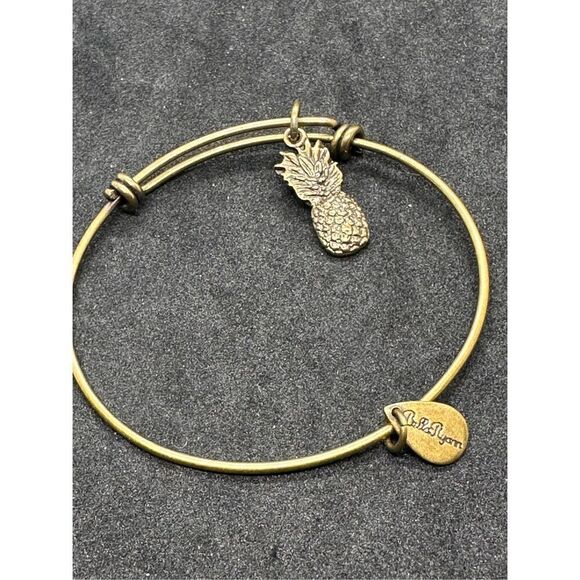 Nice Alex and Ani Pineapple Charm Bracelet silver tone, and Bella Ryann Expandab - Picture 5 of 12